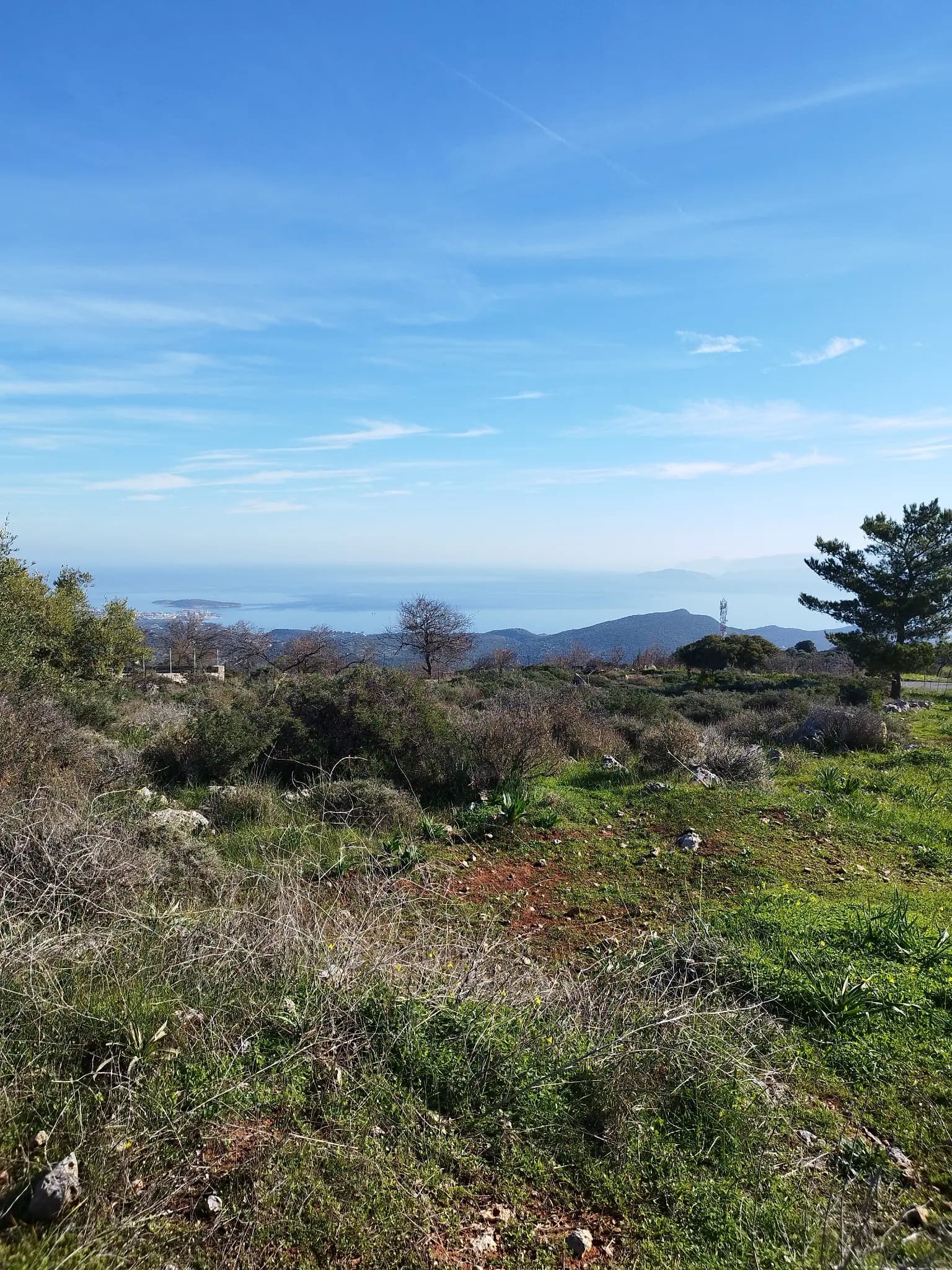 Ground-level outlook from the Mourí site towards Mirabello Bay